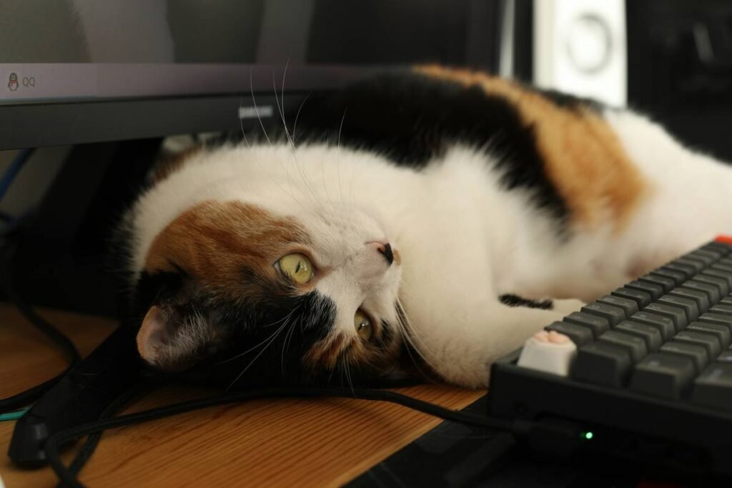 Why Online Communities Are Your Secret Weapon for Training a Deaf Dog