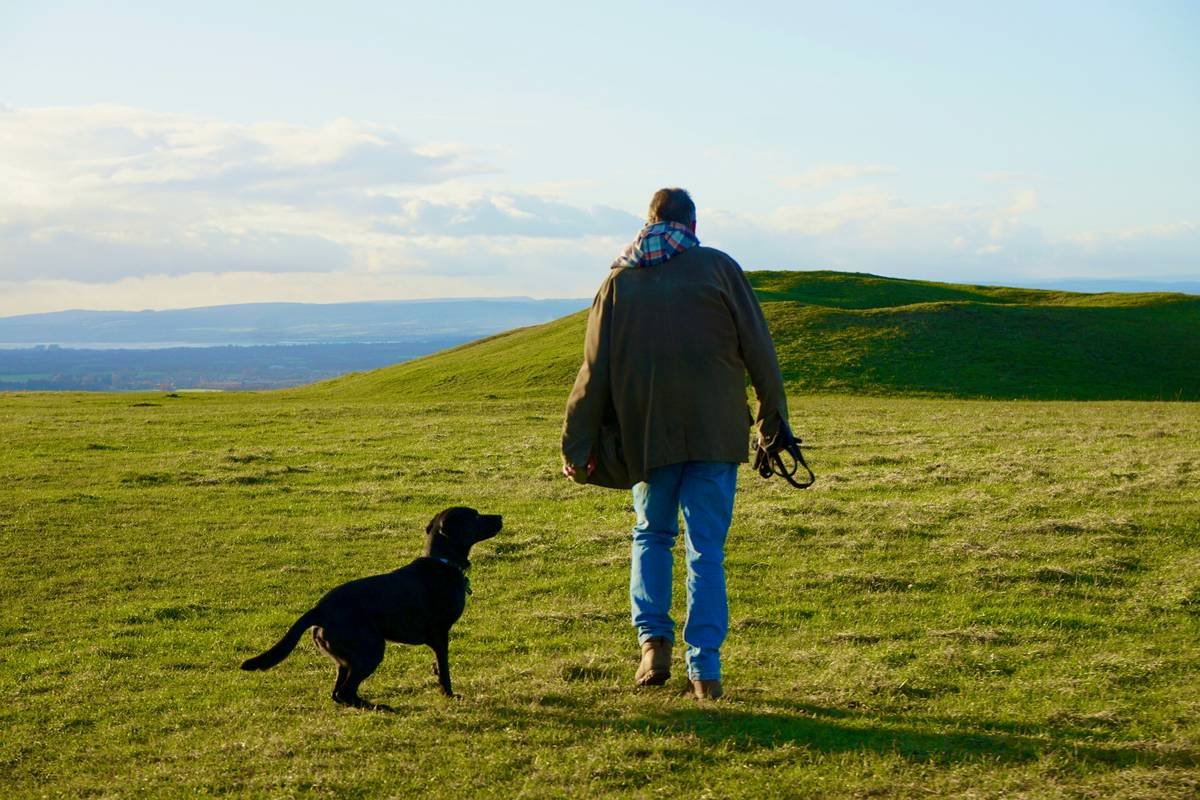 10 Lifesaving Deaf Dog Training Tips That Actually Work (From a Trainer Who’s Been There)