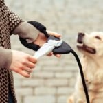 How Does a Vibrational Cue Work? Your Complete Guide to Training a Deaf Dog