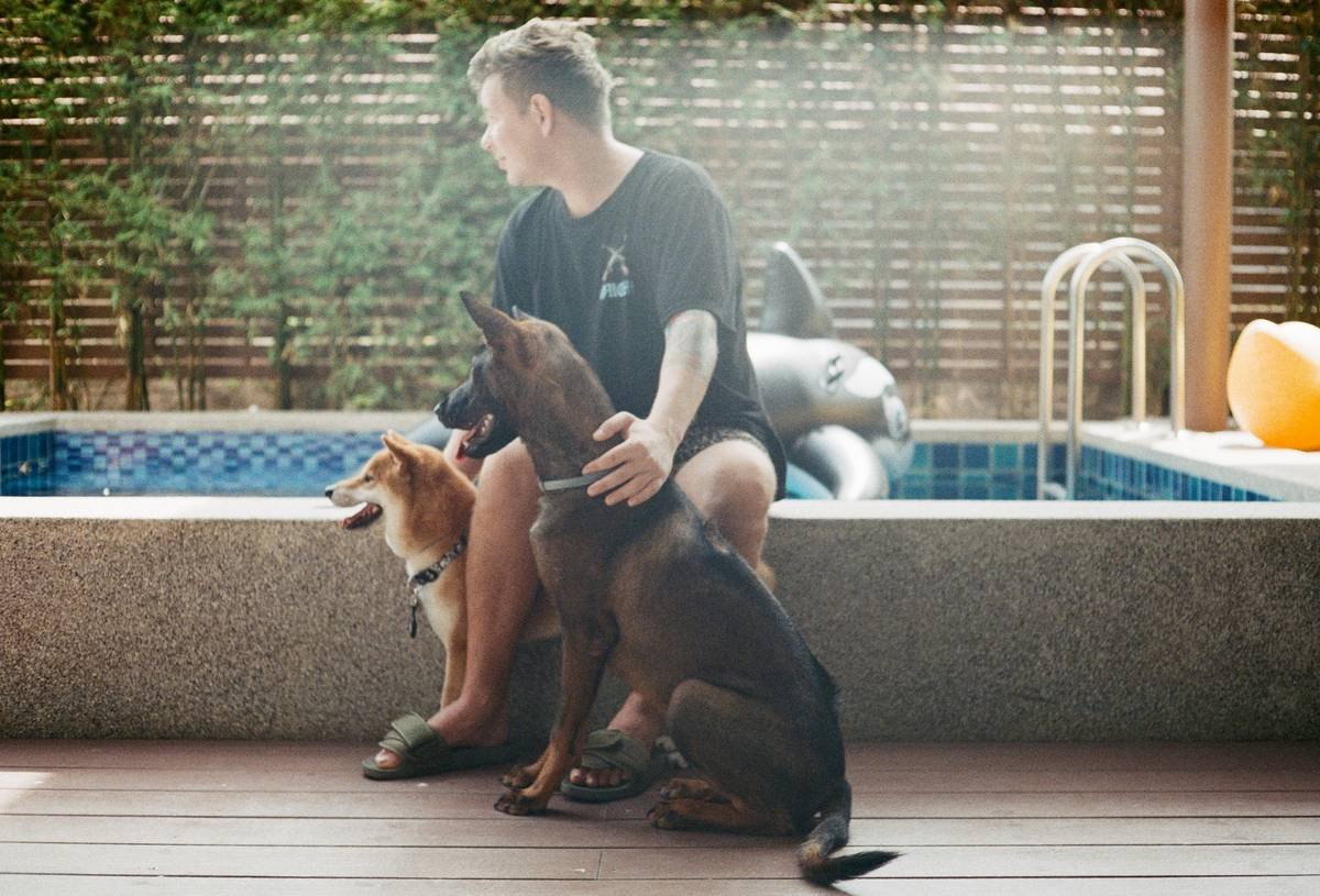 Multi-Dog Household Training: Mastering Harmony Between Hearing and Deaf Dogs