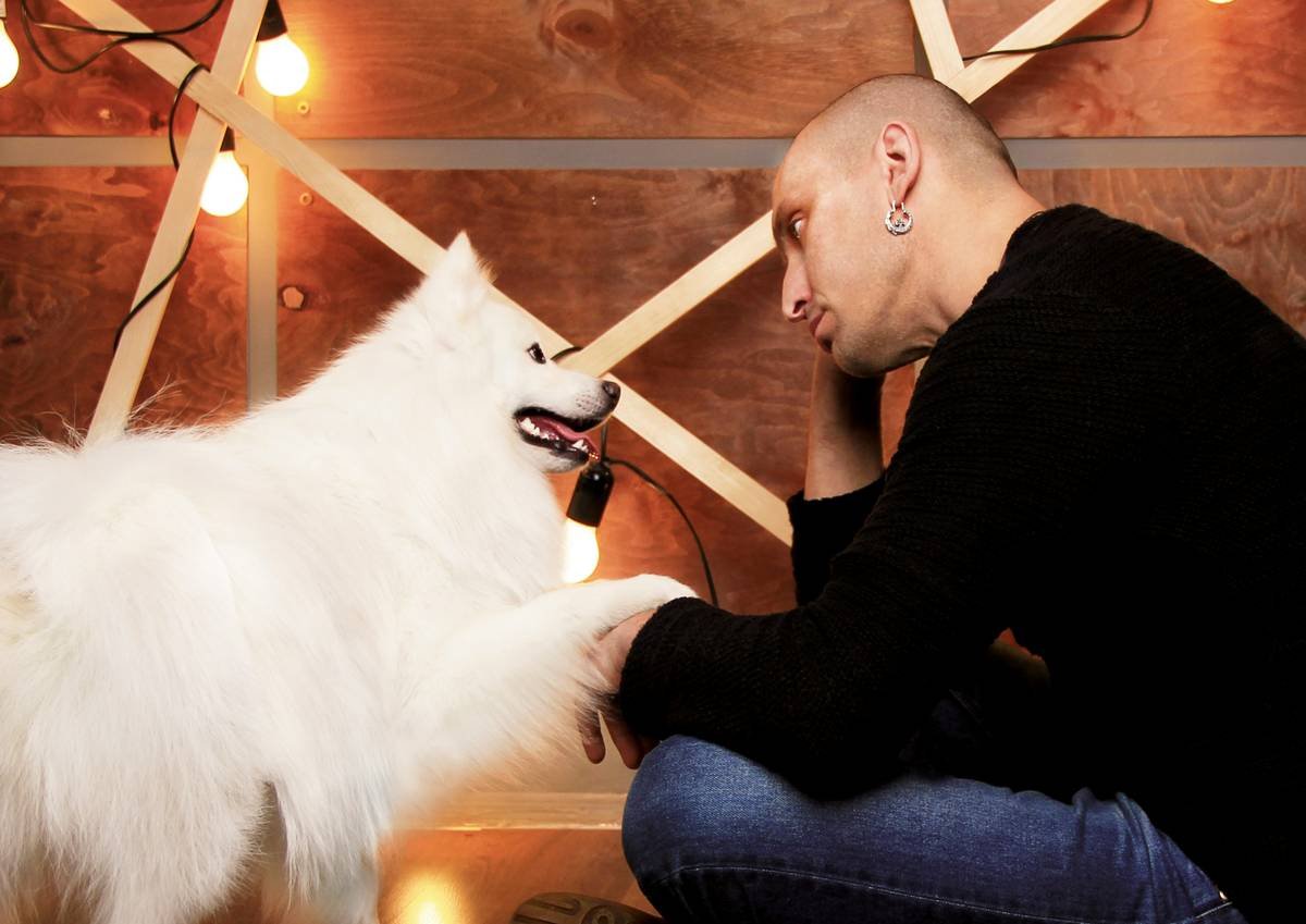 Vibrational Cue How Do Dog Help: A Lifeline for Deaf Dog Training That Actually Works