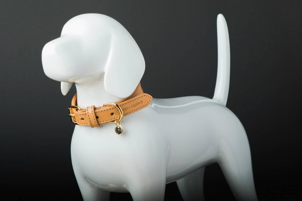 Are Vibrating Dog Training Collars UK the Secret to Communicating with Your Deaf Dog?