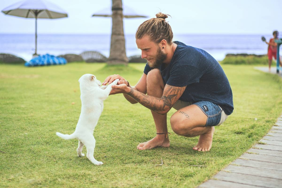 Deaf Puppy Training: A Compassionate, Effective Guide for New Owners