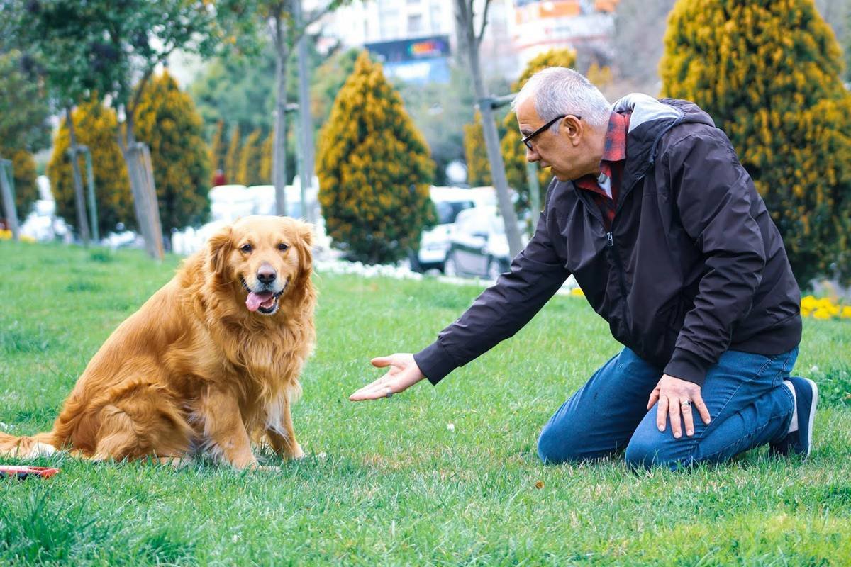 Visual Command Training a Deaf Dog: Your Complete, Vet-Approved Guide