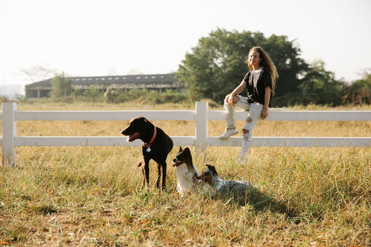 Why Your Deaf Dog Might Actually Love a Vibrating Dog Training Collar with Remote (And How to Use It Right)