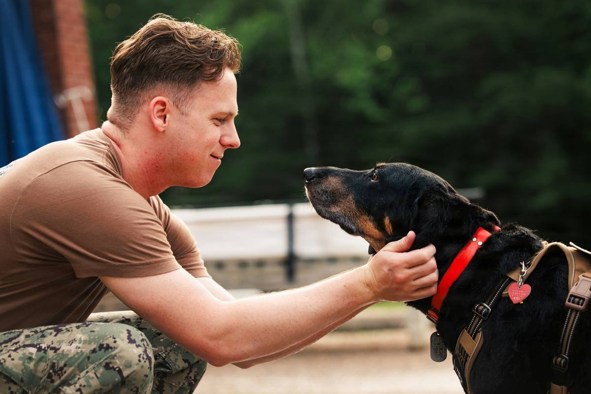 How Community Support and Deaf Dogs Help Each Other: The Surprising Ways “community support how do dog help” Creates Stronger Bonds