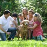 How to Find a Community Support Help Group Parent of a Deaf Dog