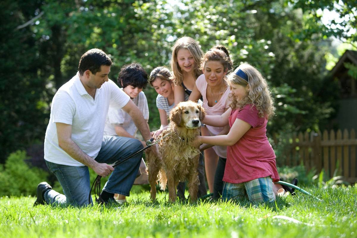 How to Find a Community Support Help Group Parent of a Deaf Dog
